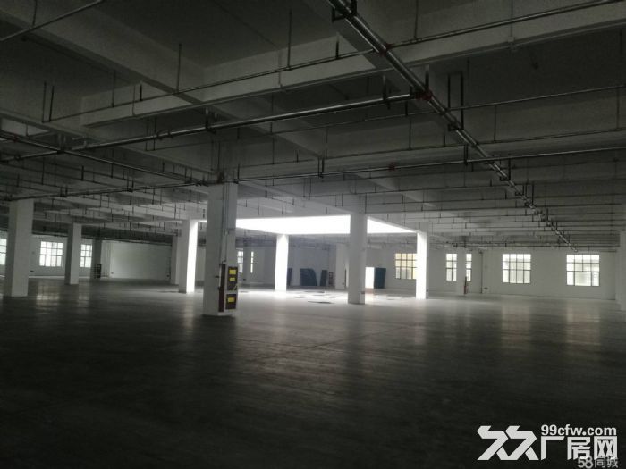 泰州药城新厂房出租，三层15000平，有单独消防和配电房，独院，可分租-图5