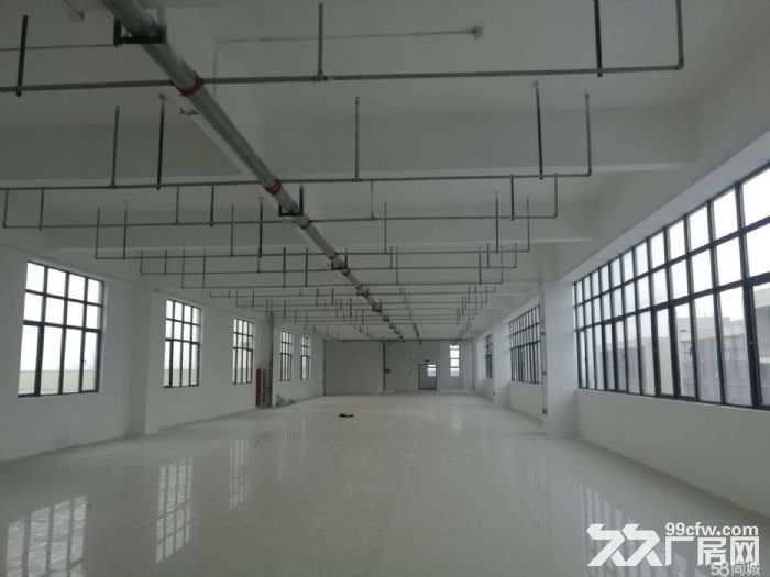 泰州药城新厂房出租，三层15000平，有单独消防和配电房，独院，可分租-图4