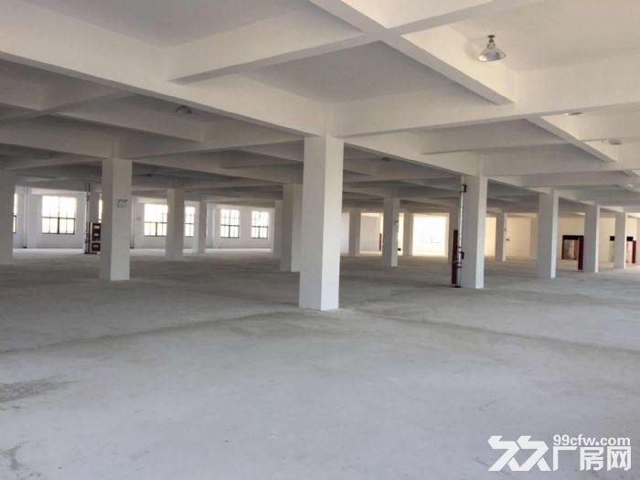 泰州市海陵区九龙镇标准厂房出租-图2
