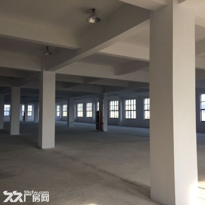 泰州市海陵区九龙镇标准厂房出租-图3