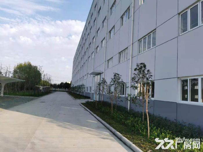 两幢3层全新标准厂房-图2